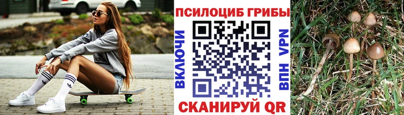 Галлюциногенные грибы мухоморы  купить закладку  ссылка на мегу онион  Зеленодольск 