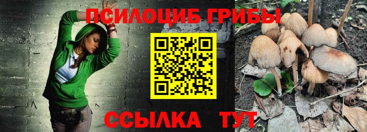 Галлюциногенные грибы MAGIC MUSHROOMS  Вход с VPN  Зеленодольск  Псилоцибиновые грибы ЛСД 