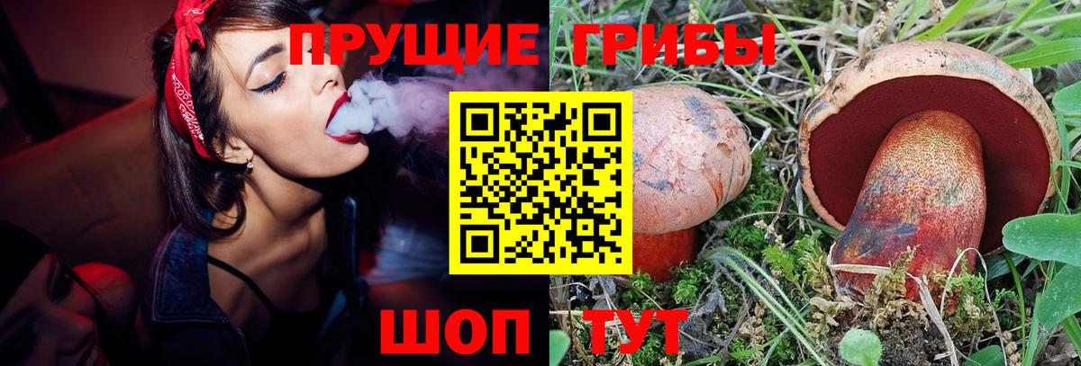 Псилоцибиновые грибы ЛСД Зеленодольск
